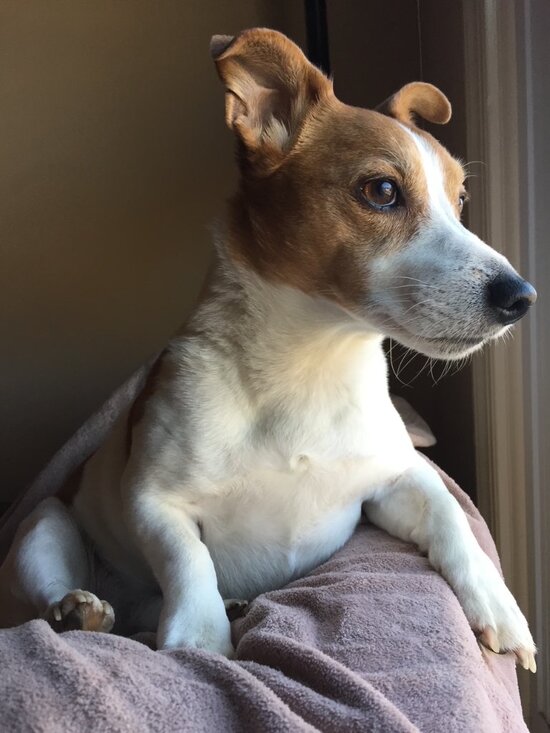 LIKE TO BE NOTIFIED WHEN I POPUP/GO LIVE! - Picture 15 of 16